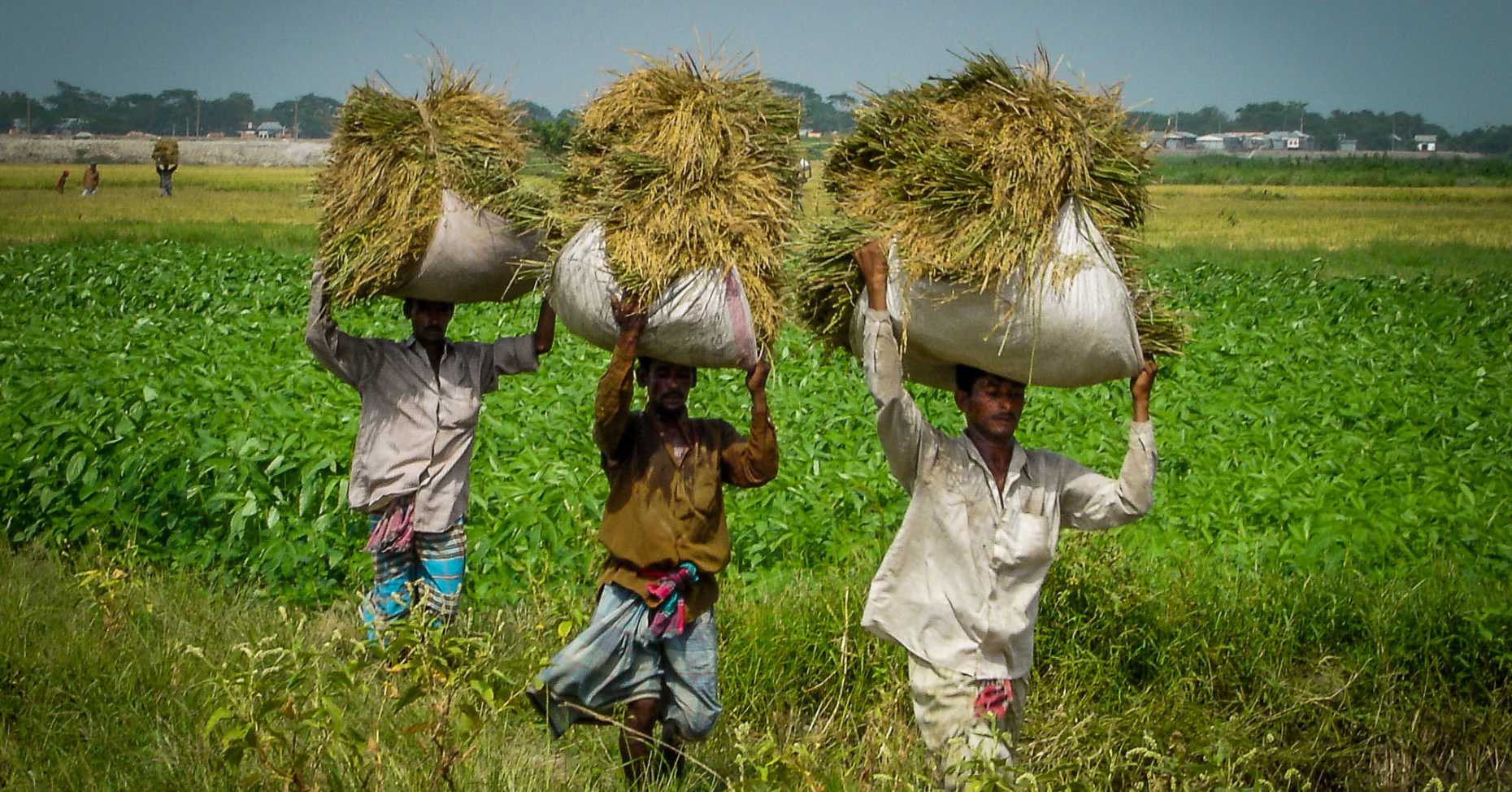 The Economics Of Natural Resource Use The Economics Of Natural Resource Use
