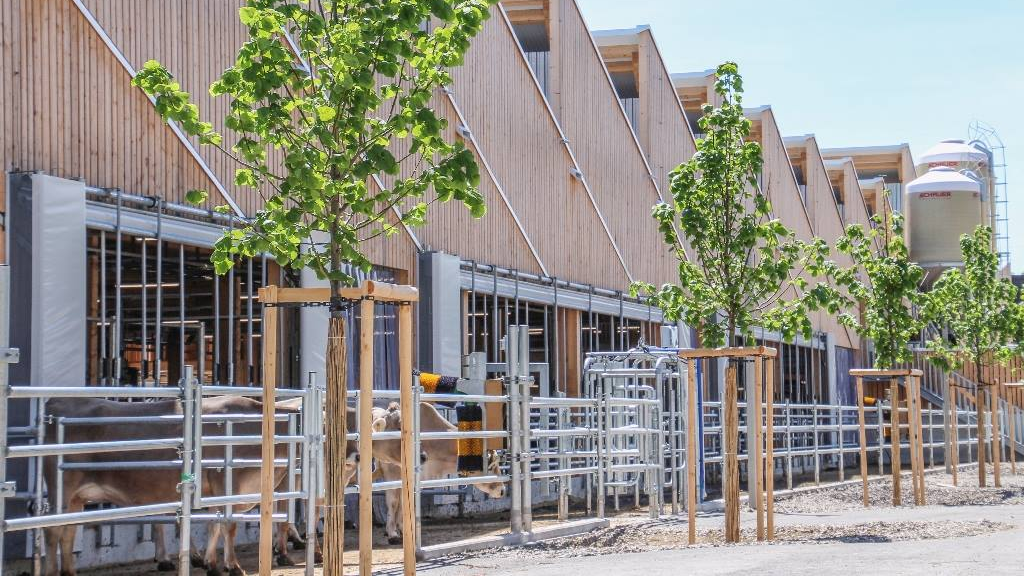 Agrovet Strickhof